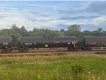 CBTX 738315